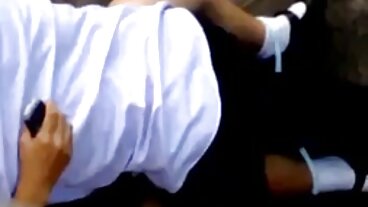 මයි ලයිෆ් ඉන් මියාමි වෙතින් උද්යෝගිමත් එව්ලින් ස්ටෝන් සමඟ ස්ථිර බූරු කාමුක දර්ශන